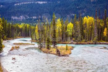 Rocky Mountains of Canada. Multicolored autumn forests grow along the banks of the cold river. The concept of active and automobile tourism