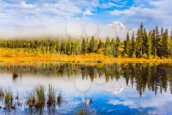 The concept of extreme and ecotourism. Patricia Lake among the firs and pines. Water reflects the sky. Cloudy morning in the Rocky Mountains