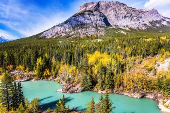Indian summer in Canada, warm sunny day in autumn. Dense forests cover the lake shores. Abraham Lake is the most beautiful lake in the Rockies. The concept of ecological and active tourism