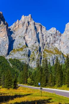 Dolomite Alps in Italy. Beautiful day. The road passes in the coniferous forests at the foot of limestone and dolomite rocks. The concept of active and car tourism