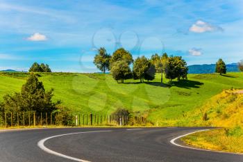 Magnificent road among the green fields. Summer sunny morning on the North Island, New Zealand. The concept of active and phototourism