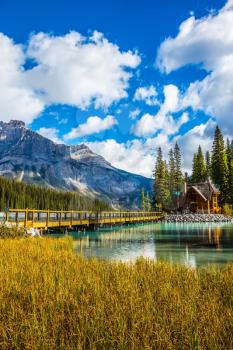 Bridge over Emerald Lake. Camping and coniferous forest. Yoho National Park, Canada