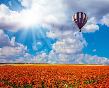 The bright spring sun and multi-color balloon over the fields of buttercups. Concept of rural and extreme tourism