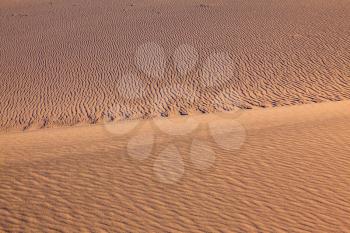 Thin waves on sand. Bright solar morning in picturesque part of Death Valley, USA. Mesquite Flat Sand Dunes