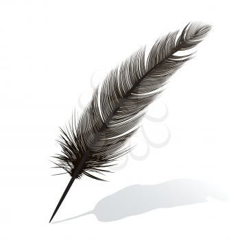 black feather on white