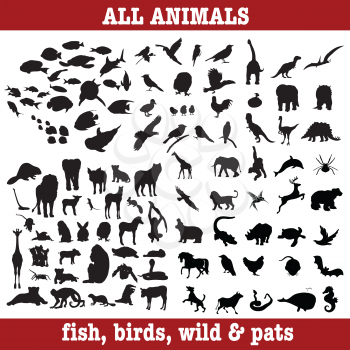 all animals, big collection, fish,birds, wild and pats