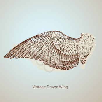 vintage drawn wing