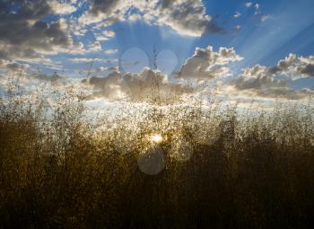 Royalty Free Photo of Sun Reflecting Below a Cloud Into a Field