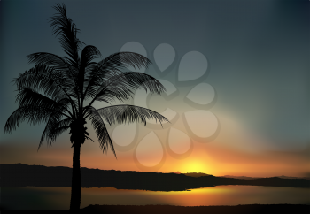 Royalty Free Clipart Image of a Tropical Sunset