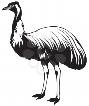 Emu Clipart