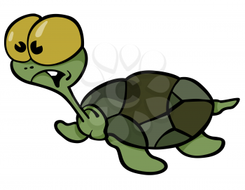 Turtle Clipart