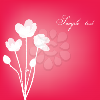 Pink greeting card with white flowers 