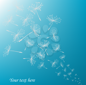Royalty Free Clipart Image of Dandelion Seeds