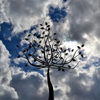 Abstract leafy tree over blue cloudy sky