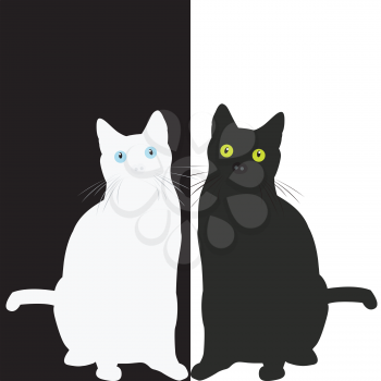 Black cat and white cat