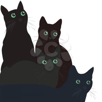 Black cats with green eyes over white background