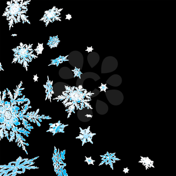 Royalty Free Clipart Image of Snowflakes on Black