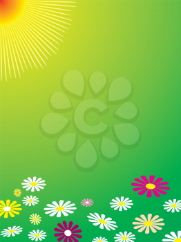Royalty Free Clipart Image of a Green Background With Daisies at the Bottom