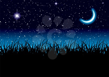 Long grass with space scape and bright cresent moon