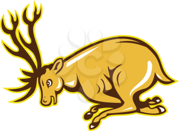 Illustration of a stag deer buck head facing side charging attacking on isolated white background done in cartoon style.