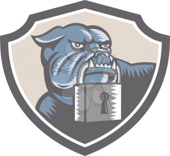 Illustration of an bulldog dog mongrel head mascot biting a padlock facing front set inside shield crest on white background done in retro woodcut style.