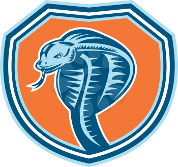 Illustration of a cobra viper snake serpent head with tongue out set inside shield crest on isolated background done in retro style.