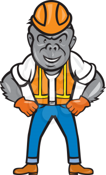 Illustration of an angry gorilla ape construction worker standing with hard hat and hands on hips set on isolated white background done in cartoon style. 