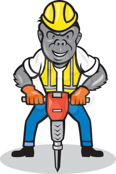 Illustration of a gorilla ape construction worker standing wearing hard hat with jackhammer set on isolated white background done in cartoon style. 