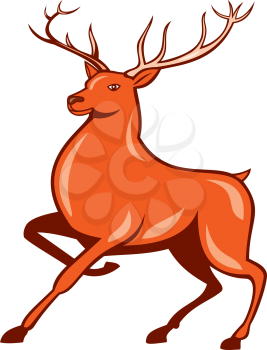 Illustration of a red stag deer buck marching walking facing side set on isolated white background done in cartoon style.