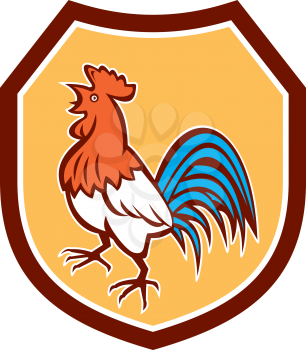 Illustration of a chicken rooster crowing looking up viewed from the side set inside shield crest on isolated background done in retro style. 