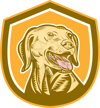 Illustration of a labrador dog head with tongue out viewed from the front set inside crest shield on isolated background done in woodcut style. 
