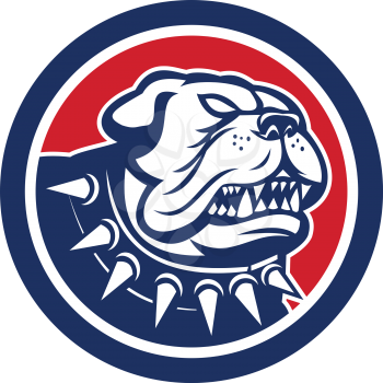 Illustration of an bulldog dog mongrel head mascot showing fangs facing front set inside circle on isolated white background done in retro style.
