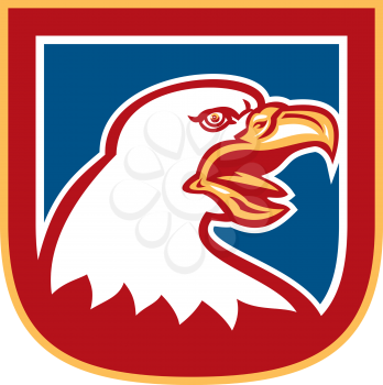 Illustration of an american bald eagle head set inside shield crest on isolated background done in retro style.