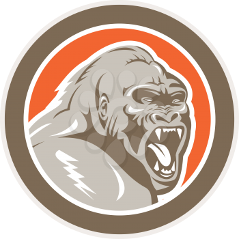 Illustration of an angry gorilla ape head set inside circle on isolated background done in retro style.