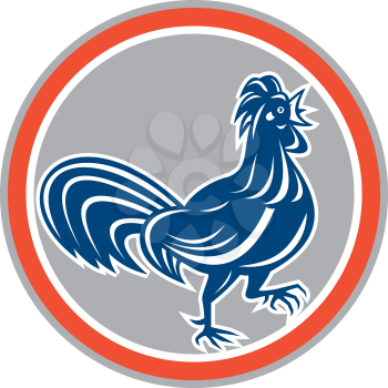 Illustration of a chicken rooster walking leg up facing side set inside circle on isolated background done in retro style. 