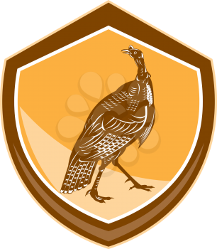 Illustration of a wild turkey walking walk viewed from the side set inside shield crest on isolated background done in retro style. 