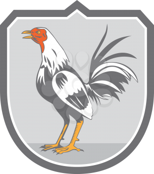 Illustration of a rooster cockerel standing facing side set inside crest shield done in retro style on isolated background.