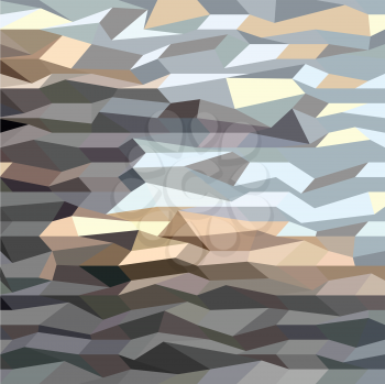 Low polygon style illustration of a brown grey abstract background.