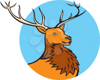 Illustration of a red stag deer buck head facing side set inside circle on isolated  background done in cartoon style.