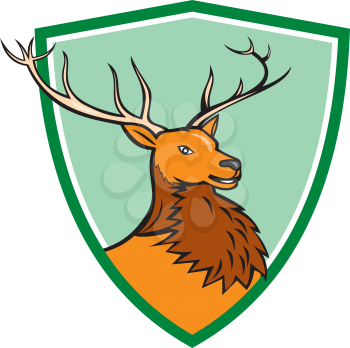 Illustration of a red stag deer buck head facing side set inside shield crest on isolated background done in cartoon style.