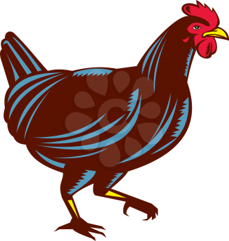 Illustration of a chicken hen walking viewed from the side set on isolated white background done in retro woodcut style. 