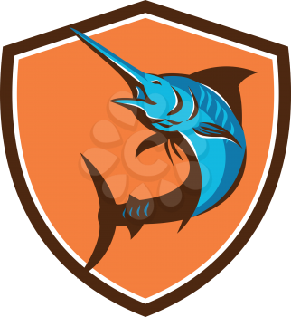 Illustration of a blue marlin fish jumping viewed from front set inside shield crest on isolated background done retro style. 