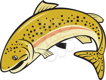 Illustration of a rainbow trout fish jumping viewed from the side set on isolated white background done in cartoon style.