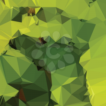 Low polygon style illustration of avocado green abstract geometric background.