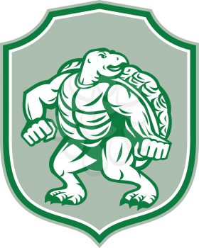 Illustration of a green turtle in fighting stance looking to the side set inside shield crest on isolated background done in retro style. 