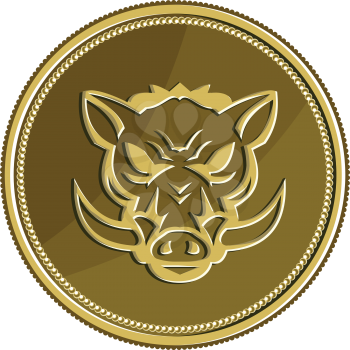 Illustration of an angry wild pig hog head viewed from the front set inside gold coin medal done in retro style. 