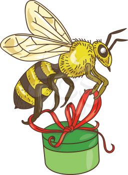 Drawing sketch style illustration of a worker honey bee carrying a round gift box present with ribbon viewed from the side set on isolated white background. 