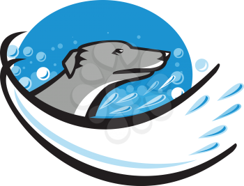 Illustration of a greyhound dog head in water bubble having a wash bath viewed from side set inside oval shape done in retro style.