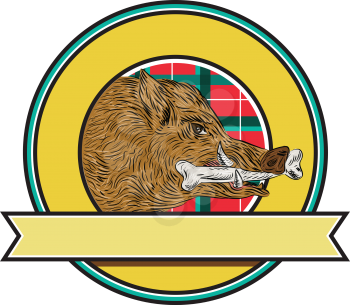 Drawing sketch style illustration of a wild pig boar razorback head with bone in mouth viewed from the side set inside circle and ribbon with tartan in the background.