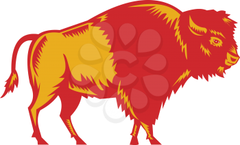 Illustration of an american bison buffalo bull viewed from the side set on isolated white background done in retro woodcut style. 